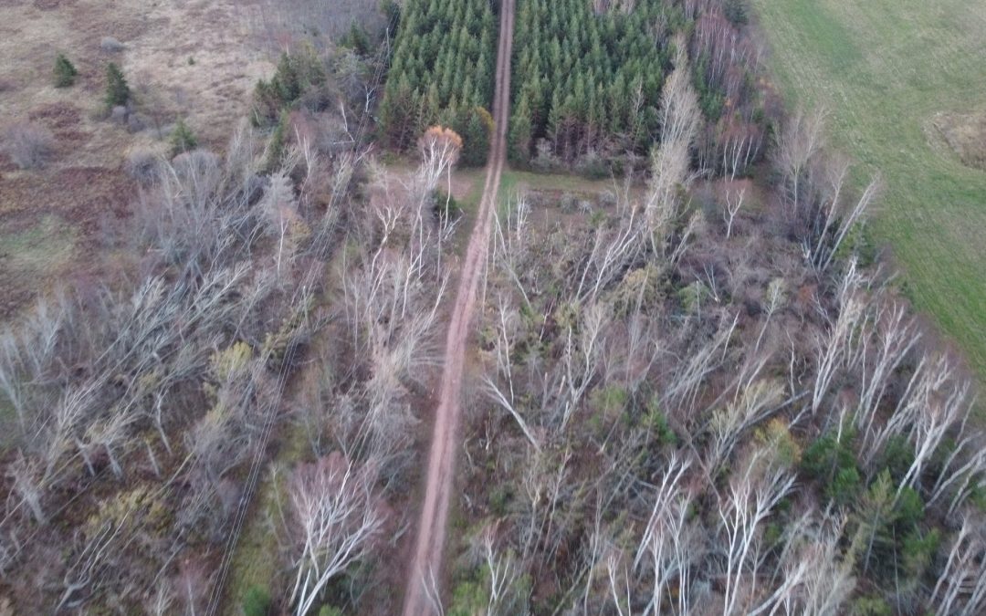 Aerial Shots Before and After